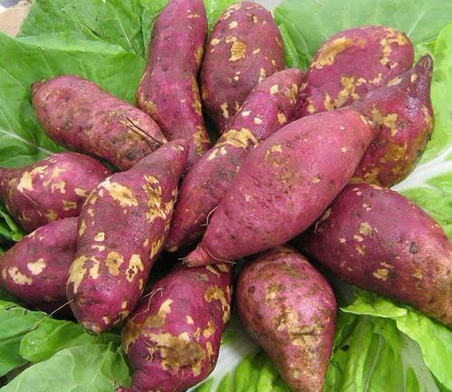 种植红薯的方法，如果种植产量高？